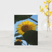 Tournesol jetant un coup d'oeil le carte pour (Fleur jaune)