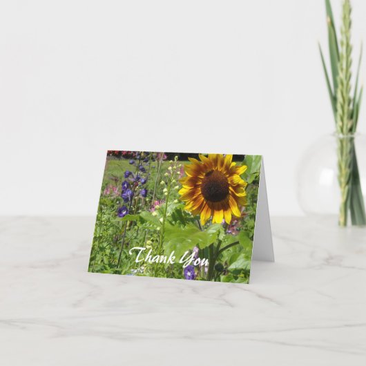 Tournesol Merci (Devant)