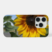 Tournesol Moment Doré, (Verso Horizontal)