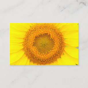 Tournesol Océanie, 3,54" x 2,165" carte de visite
