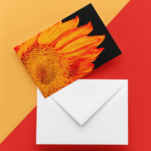 Tournesol orange enflammé vide à l'intérieur