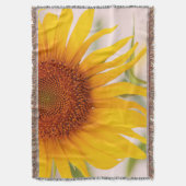 Tournesol Photo Couvertures (devant Vertical)