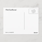 Tournesol rose 51 ~ carte postale (Dos)