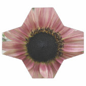 Tournesol rose pâle (Plat)