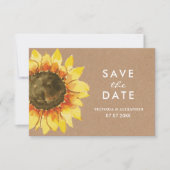Tournesol rustique jaune. Carte postale à retenir (Devant)