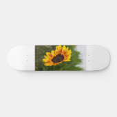 Tournesol Skateboard (Horz)
