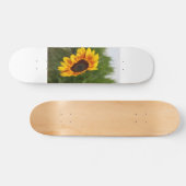 Tournesol Skateboard (Horz)