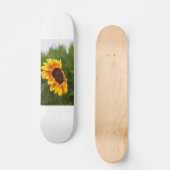 Tournesol Skateboard (Recto)