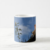 Tournesol sur le toit. tasse à café (Centre)