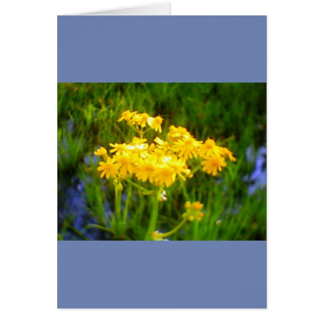 Tournesol Toutes les occasions Carte (Devant)