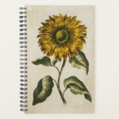 Tournesol végétal vintage (Devant)
