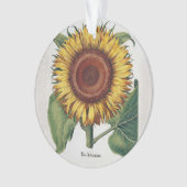 Tournesol Vintage Damas Fleur Art (devant)