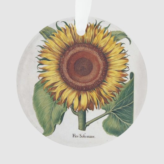Tournesol Vintage Damas Fleur Art (devant)