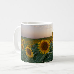 Tournesols à la tasse du crépuscule