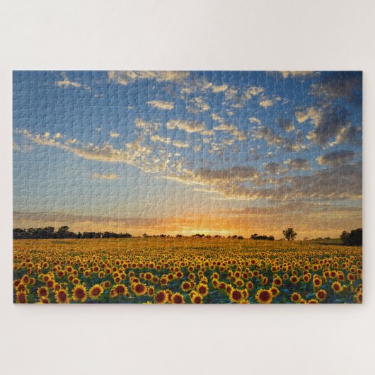 Tournesols au puzzle du coucher du soleil (Horizontal)
