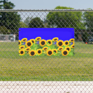 Tournesols Bannières Ukraine Drapeaux couleurs sou
