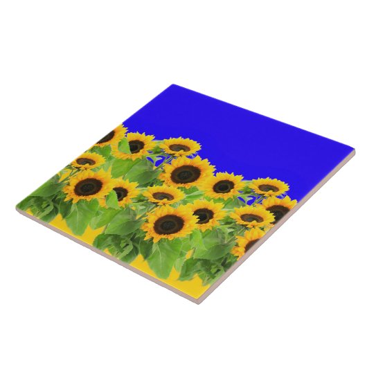 Tournesols Carreaux Ukraine Drapeaux Couleurs - Li (Côté)
