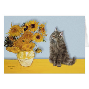 Tournesols - Chat des Forêts Norvégiennes