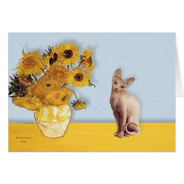 Tournesols - Chat Sphyx crème (Devant horizontal)