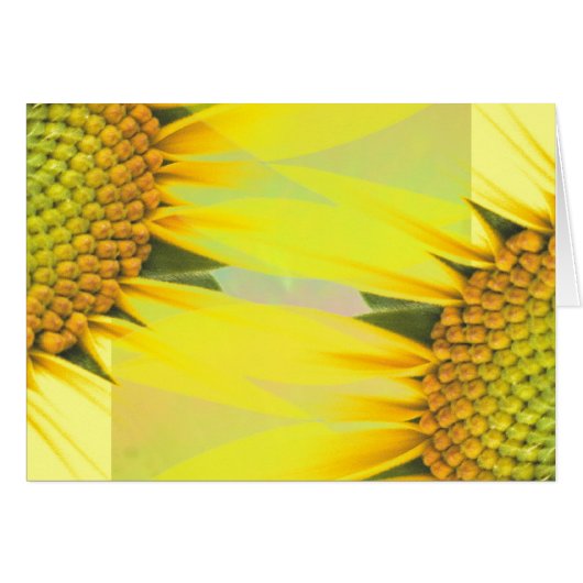 Tournesols de printemps (Devant horizontal)