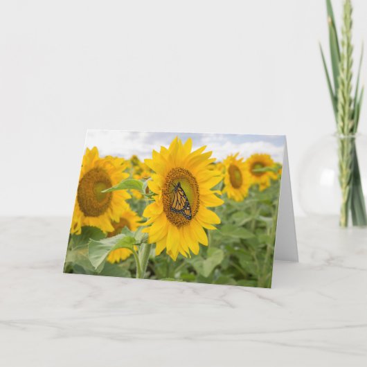 Tournesols et carte pour notes de monarque (Devant)