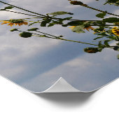 Tournesols et nuages Bible Verse Art Poster (Coin)