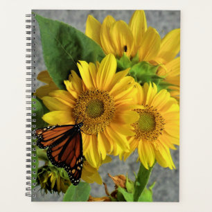 Tournesols et papillons monarques