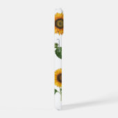 Tournesols Feuillage Botanique Verdure (Côté droit)