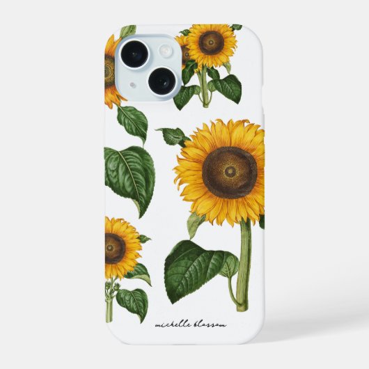 Tournesols Feuillage Botanique Verdure (Verso)