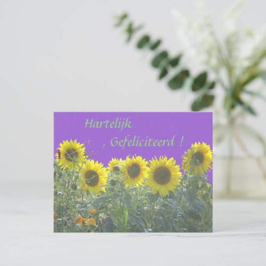 Tournesols Joyeux Anniversaire sur carte postale n (Debout devant)