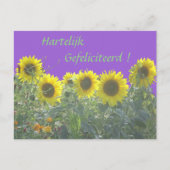 Tournesols Joyeux Anniversaire sur carte postale n (Devant)