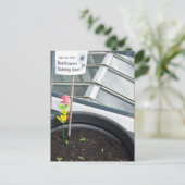 Tournesols le mai 30, 2012 Carte postale (Debout devant)