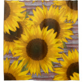 Tournesols Rustiques Sur Vieille Grange Rideau De  (Devant)