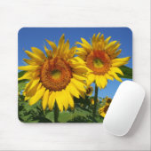 Tournesols, tapis de souris (Avec souris)