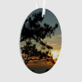 Tourrey Pine Sunset I California Paysage (devant)