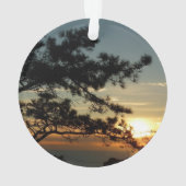 Tourrey Pine Sunset I California Paysage (dos)