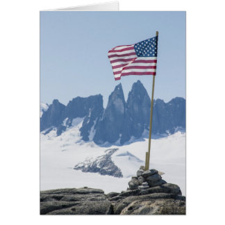 Tours de Taku de champ de glace de Juneau (blanc à