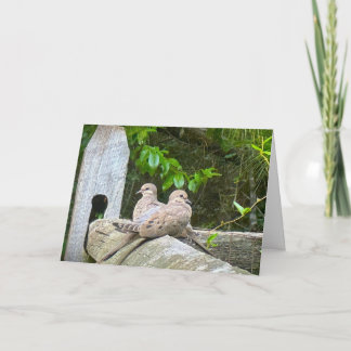 Tourterelles du matin, carte