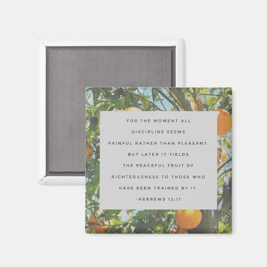 Tous les aimants de discipline (Recto/Verso)