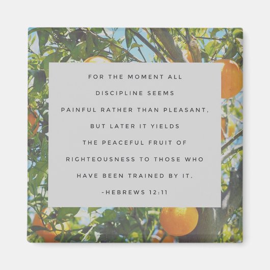 Tous les aimants de discipline (Devant)