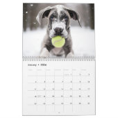 Tous les ans 🎾 Tennis et 🐕 calendrier des chiots (Jan 2026)