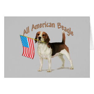 Tous les cadeaux américains de beagle