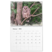 Tous les créateurs de calendrier grand et petit (Feb 2026)