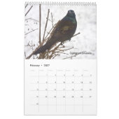 Tous les critères de Dieu - Calendrier (Feb 2027)