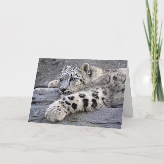 Tous ont joué la carte (Devant)