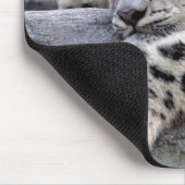 Tous ont joué le tapis de souris (Coin)
