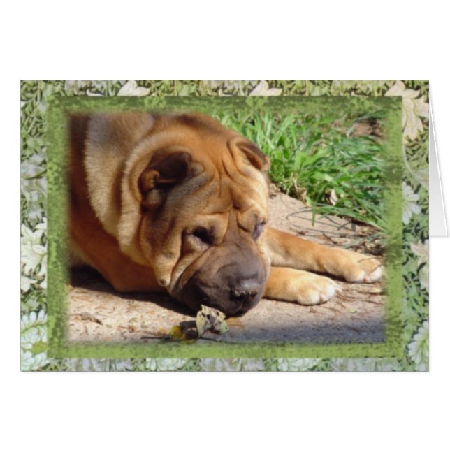 Tous que j'ai sont des souvenirs (Devant horizontal)