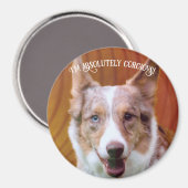 "Tout à fait coriace !" Magnet (Recto/Verso)