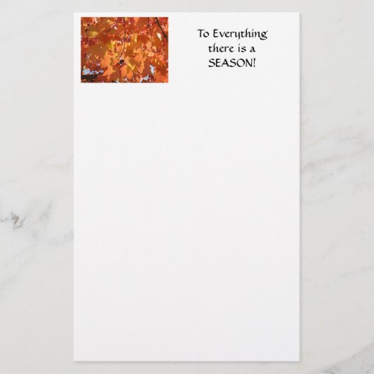 TOUT A UNE SAISON Papeterie Feuilles d'automne MAM (Devant)