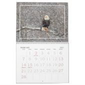 Tout Au Long De L'Année Avec Calendrier Des Aigles (Feb 2027)